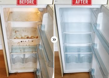 Fridge Cleaning